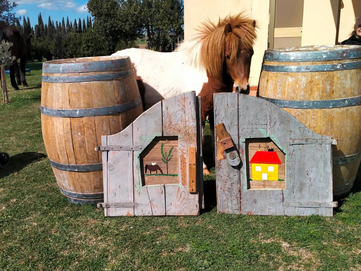 Agriturismo Lungo Albegna Manciano Exteriör bild