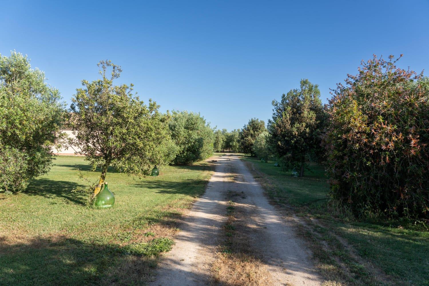 Agriturismo Lungo Albegna Manciano Exteriör bild